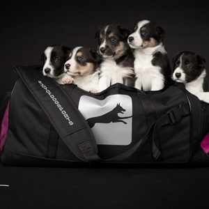 ProPack dog sports bag (pink) - Image 4