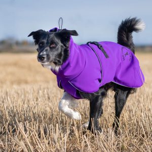 ProWarmer dog winter jacket lilac size 55 cm Border Collie