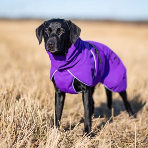 ProWarmer jacket 60 cm lilac dog winter jacket Labrador