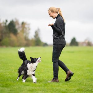 For dog training light training jacket