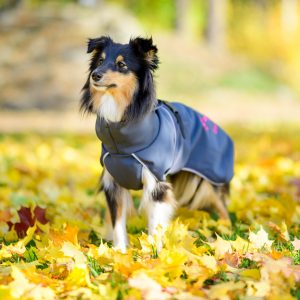 SportWarmer dog jacket (grey-pink) - Image 2