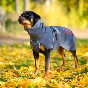 SportWarmer dog jacket (grey-pink) - Image 9