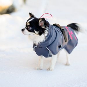 SportWarmer dog jacket (grey-pink) - Image 12