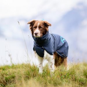 Dog jackets