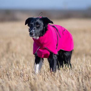 ProWarmer dog winter jacket pink size 55 cm