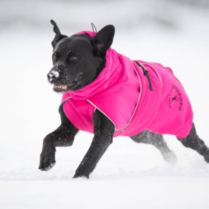 ProWarmer pink and Labrador size 60 cm jacket