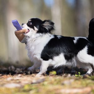 Chewie ball + Cutie tug toy, lilac - Image 15