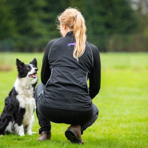 Dog training jacket very light and stretchy