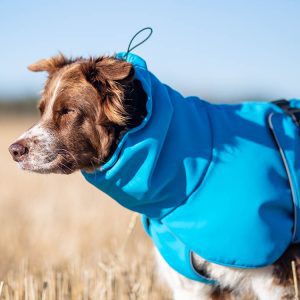 ProWarmer dog winter jacket blue high collar