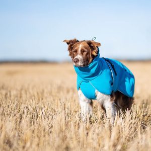 ProWarmer dog winter jacket blue size 55 cm Australian Shepherd