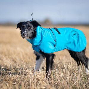 ProWarmer dog winter jacket blue size 55 cm BC