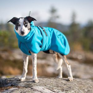 ProWarmer dog winter jacket blue size 55 cm BC male