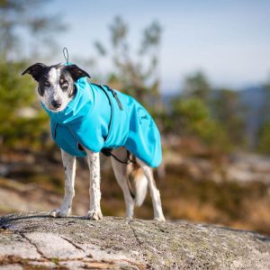 ProWarmer dog winter jacket blue size 55 cm Border Collie