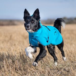 ProWarmer dog winter jacket blue size 55 cm JoyOfDogSports