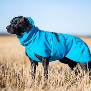 ProWarmer dog winter jacket blue size 60 cm