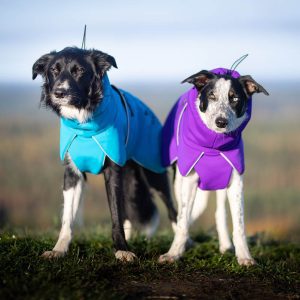 ProWarmer dog winter jacket lilac and blue colours