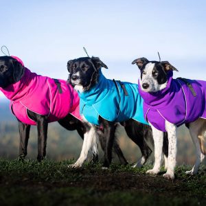 ProWarmer dog winter jacket winter 2024-2025 colours