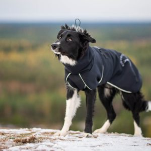 SportWarmer black-grey dog jacket bordercollie junior 55 cm