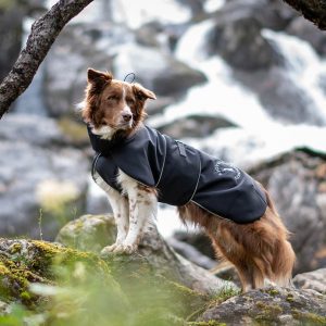 SportWarmer dog jacket (black) - Image 15