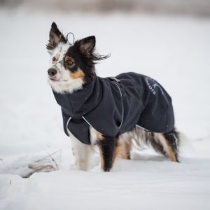 SportWarmer dog jacket (black) - Image 5