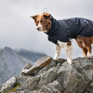 SportWarmer dog jacket (black) - Image 16