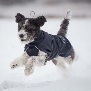 SportWarmer dog jacket (black) - Image 6