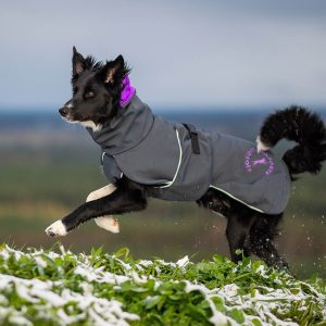 Between-seasons jacket for dogs for all kinds of weather conditions
