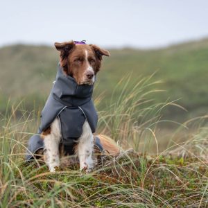 High collar dog jacket SportWarmer jacket for rainy and windy weather