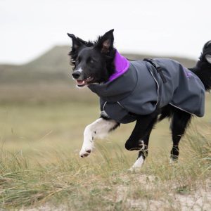 Premium quality jacket from Finland for active dogs