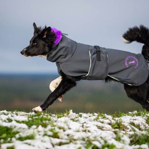 Rain jacket for dogs SportWarmer premium quality