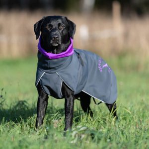 SportWarmer jacket size 60cm Labrador male