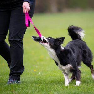 BungeeCutie pink-black in action