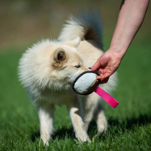 Sweetie ball pink and medium dog