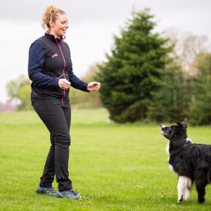 Dog training ProTrainer ultralight vest pink-black size L