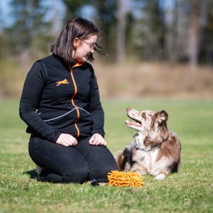 Dog training vest ProTrainer in black-orange