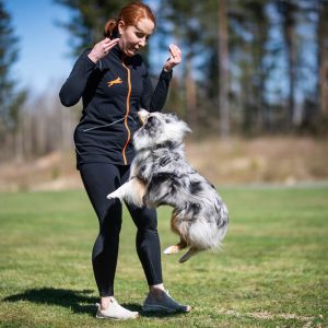 Dog training vest ProTrainer in black-orange