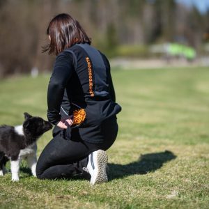 Dog training vest ProTrainer in black-orange