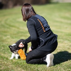 Dog training vest ProTrainer in black-orange
