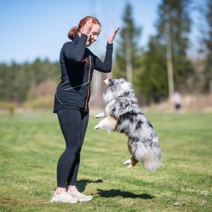 Dog training vest ProTrainer in black-orange