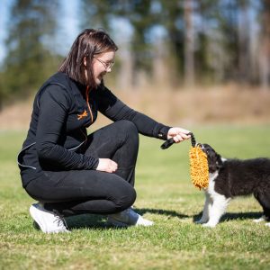 Dog training vest ProTrainer in black-orange