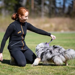 Dog training vest ProTrainer in black-orange