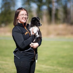 Dog training vest ProTrainer in black-orange