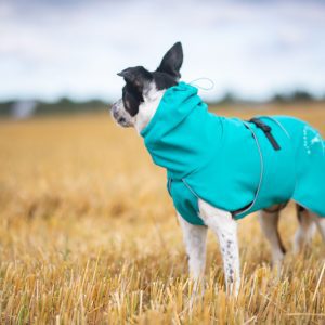 Aqua colour dog jacket SportWarmer size 55 cm