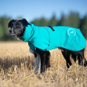 Border Collie and SportWarmer Aqua