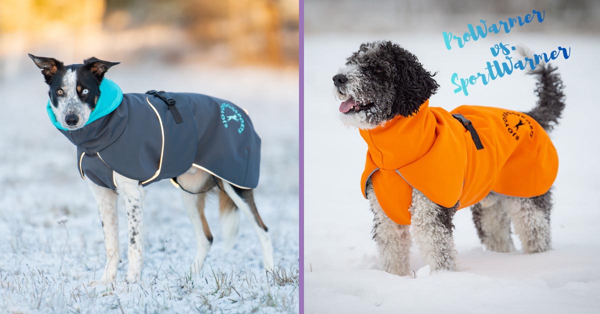 SportWarmer vs. ProWarmer – Which Winter Dog Jacket Is Right for Your Dog?