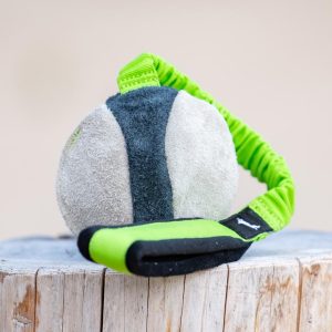 BungeeChewie ball green-black
