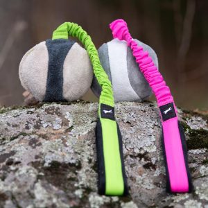 BungeeChewie balls green-pink